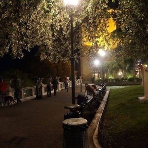 Meet your Posher, Patricia